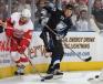 Nov 14 - Red Wings vs Tampa Bay Lightning